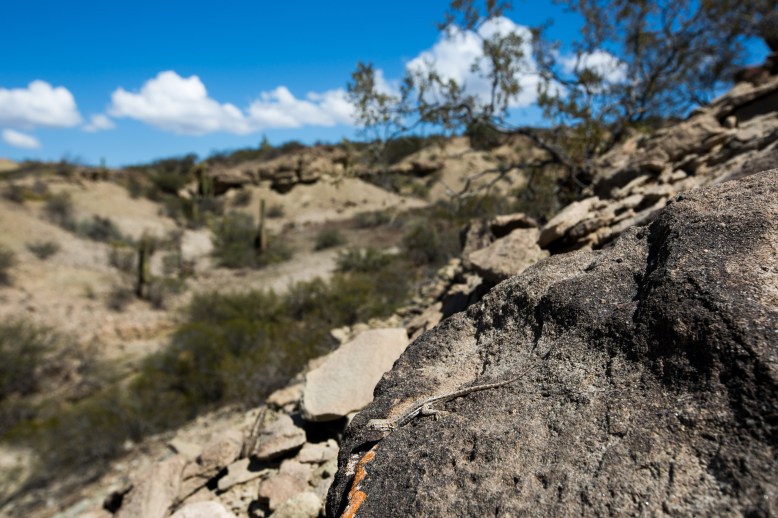 Valle de la Luna_108