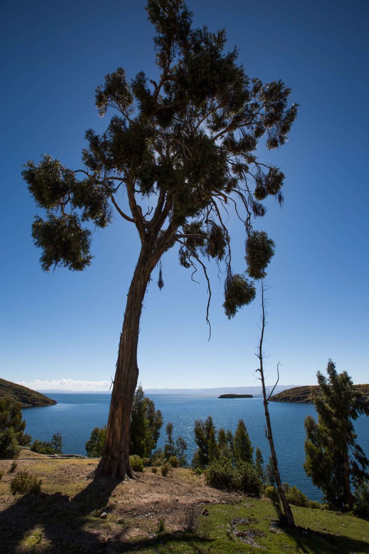 Copacabana & Isla del Sol_031