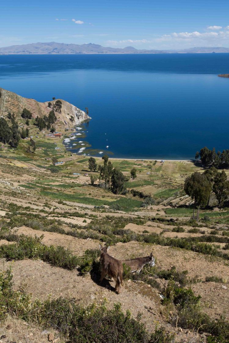 Copacabana & Isla del Sol_065