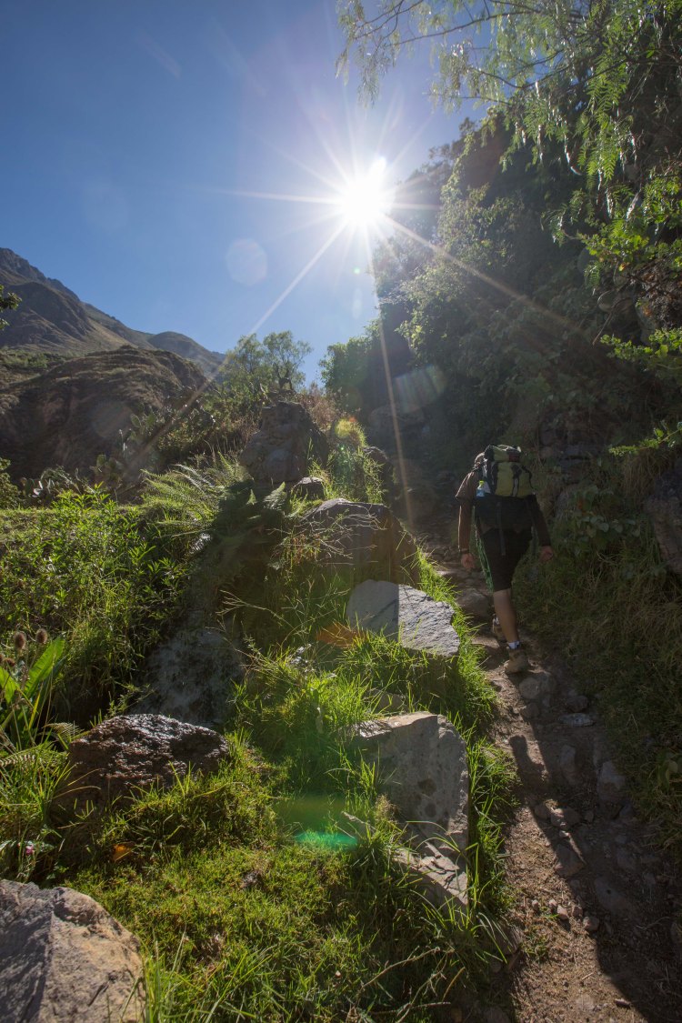 Arequipa & Colca Canyon_053