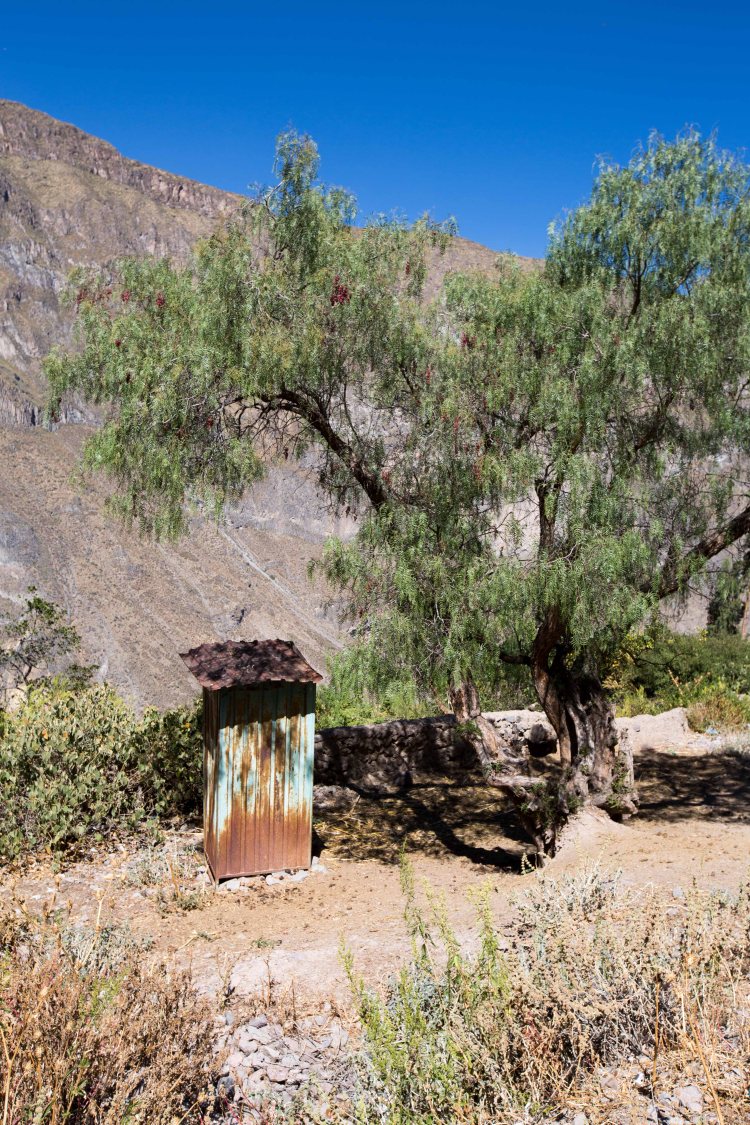 Arequipa & Colca Canyon_057