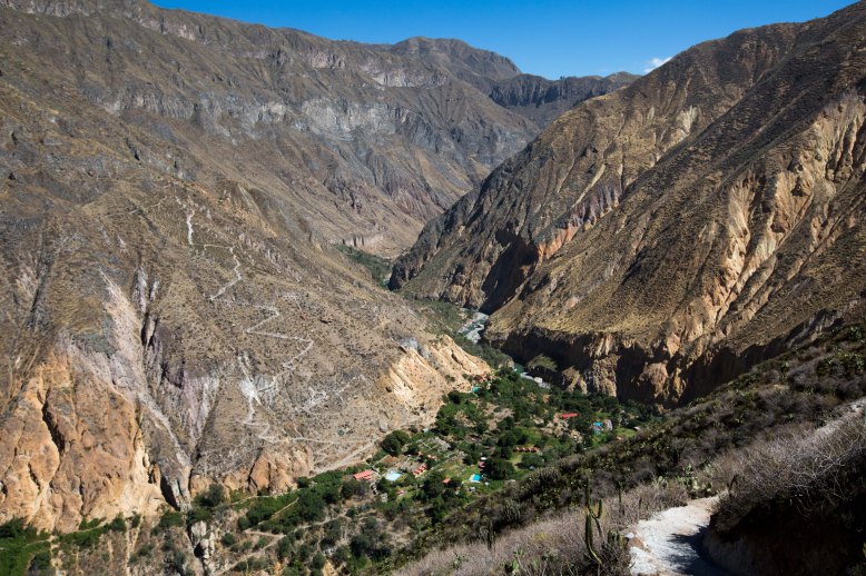 Arequipa & Colca Canyon_061