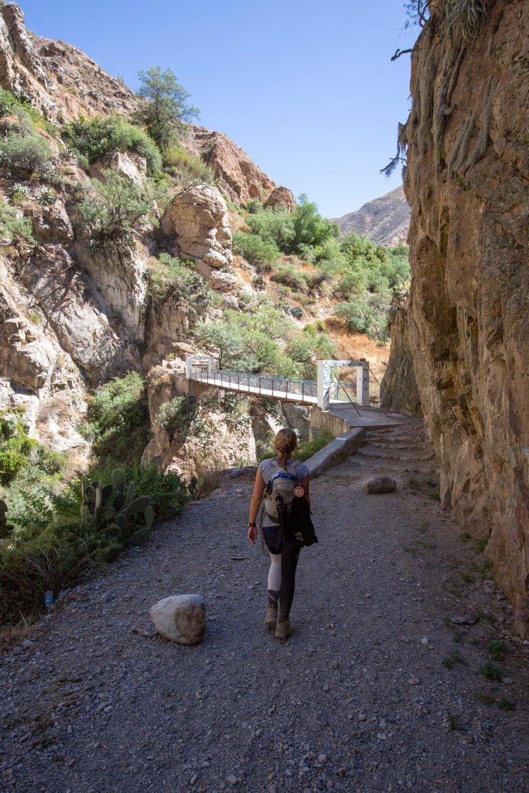 Arequipa & Colca Canyon_066