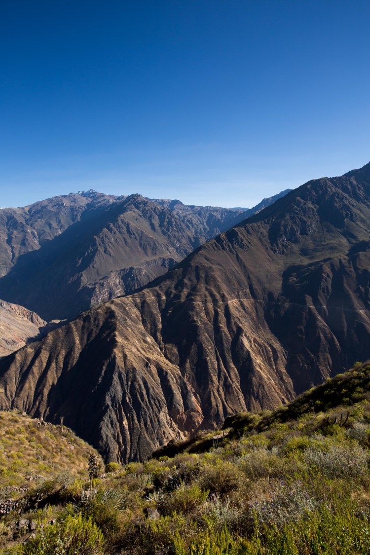 Arequipa & Colca Canyon_090