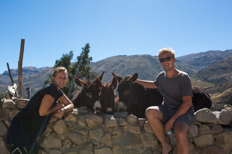 Arequipa & Colca Canyon_111