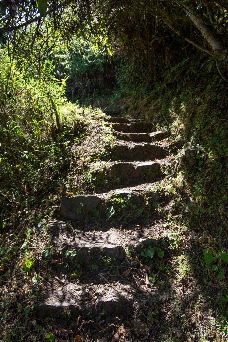 Machu Picchu_153