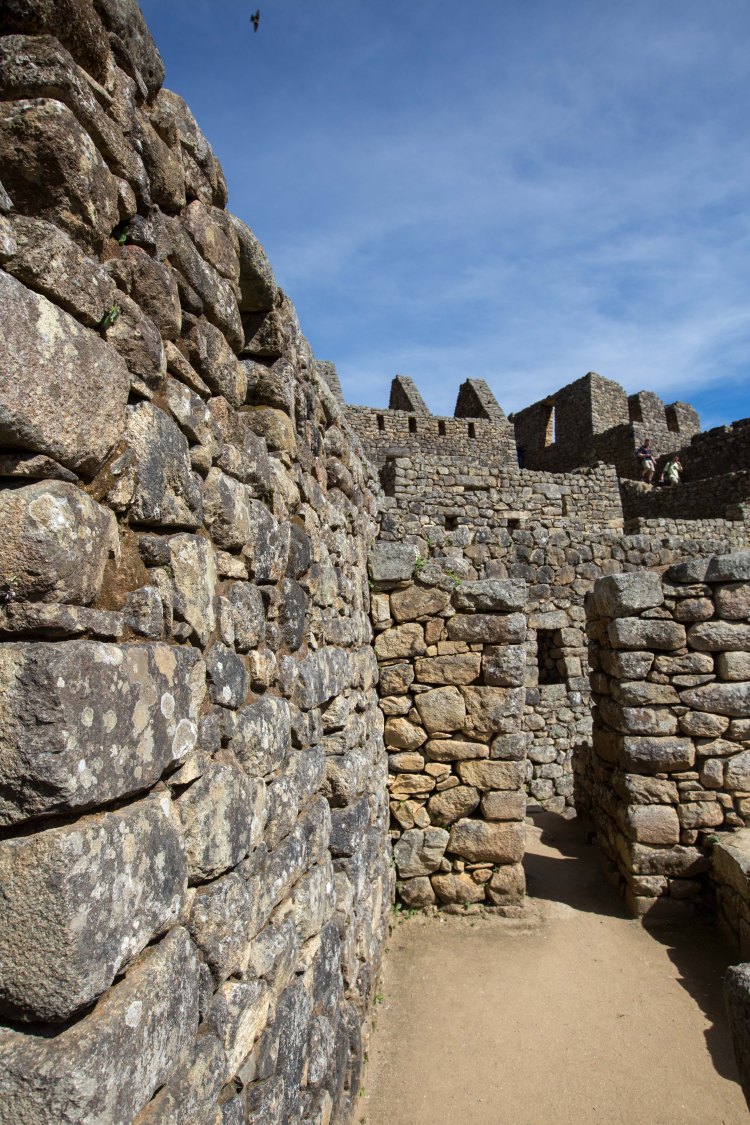Machu Picchu_262