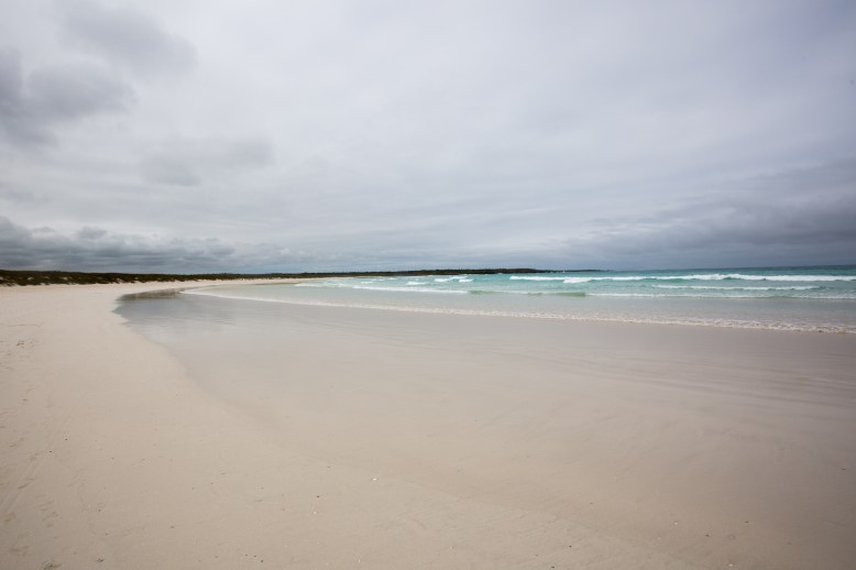 Beach near Tortuga Bay